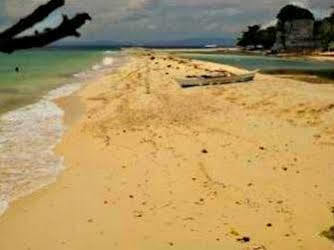 Bohol Pamilacan Island Tourist Inn And Restaurant מראה חיצוני תמונה